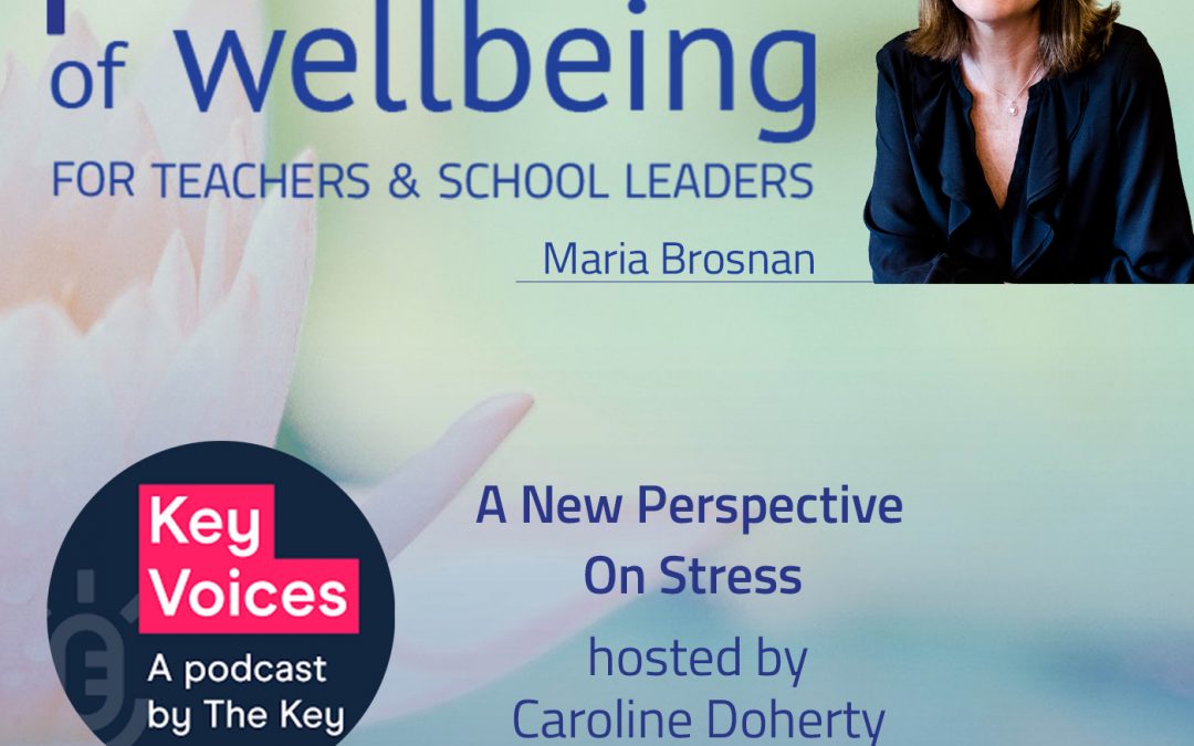 A New Perspective on Stress with Maria Brosnan