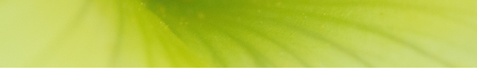 banner Nr2 A7