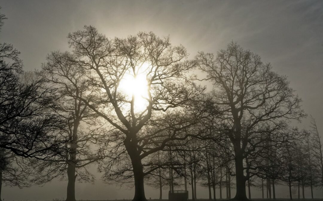 Why Seasonal Affective Disorder Isn’t a Disorder at All: A Kinder Way to Think About Winter Wellbeing